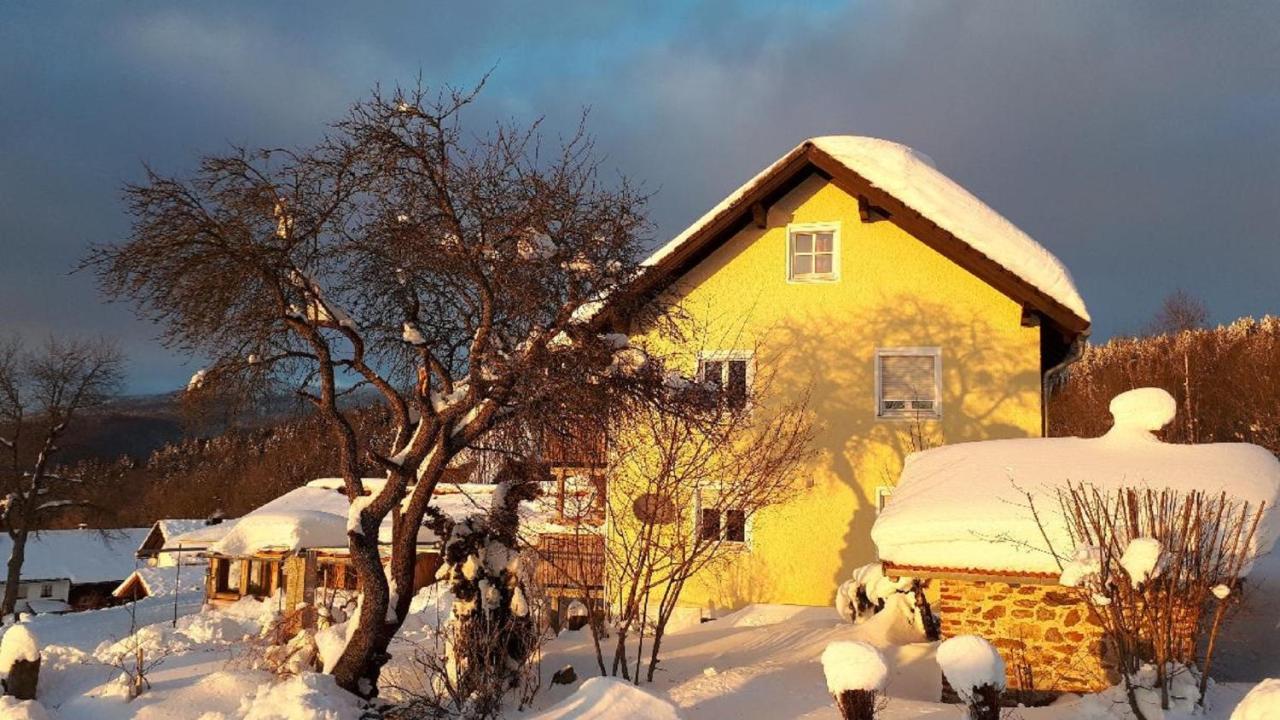 Ferienwohnung Sigi'S Waldhaus Neuschönau المظهر الخارجي الصورة